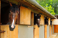 free Leirinmore stable construction quotes